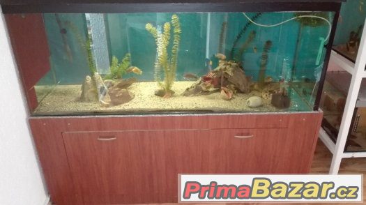 Akvarium 570 L levně – fotografie 1