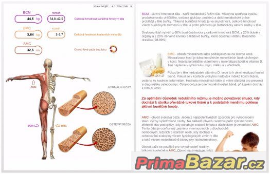 Analýza složení  těla na přístroji InBody 230 – fotografie 2