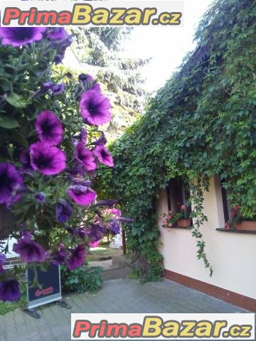 Ubytování Mikulášovice – fotografie 2