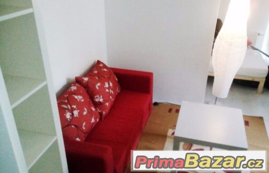 pronájem 1+1 se zahradou od majitele, Praha 10, Malešice – fotografie 4