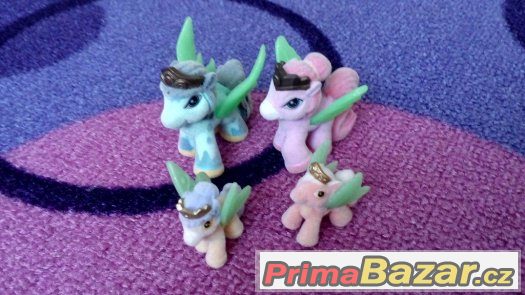 Filly koníci – fotografie 1