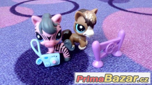 Littlest Pet Shop – fotografie 2