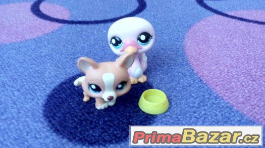 Littlest Pet Shop – fotografie 5