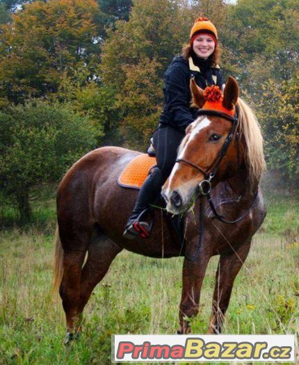 Nabízím ručně pletené kulíšky pro koně a jezdce – fotografie 3