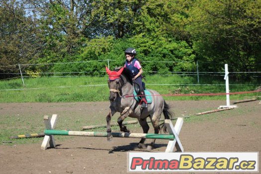 Příměstský tábor Jezdecký Klub Fidorka z.s. – fotografie 1