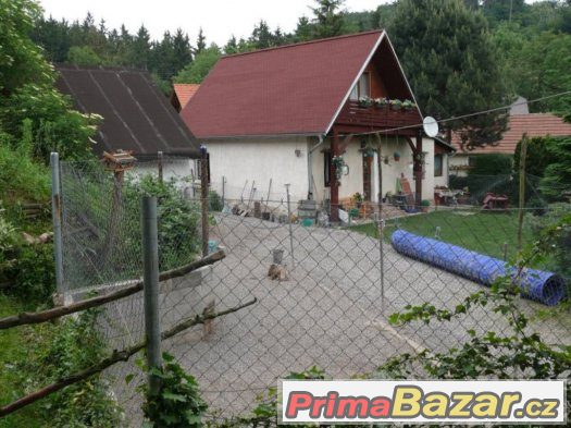 Hlídání psů - ubytování v psím hotelu AX – fotografie 2