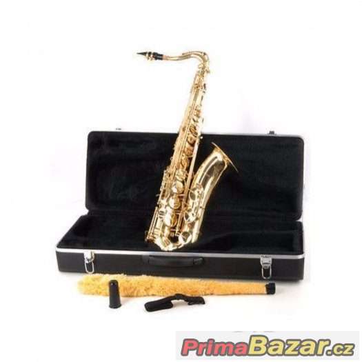 Prodám Tenor saxofón C.Giant - celý set – fotografie 1