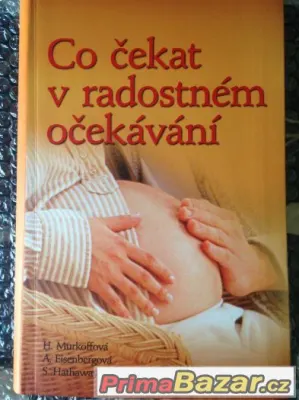 Nová kniha pro budoucí maminkyCo čekat v radostném očekávání