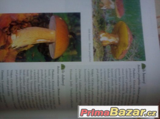 Prodám dvě krásné knihy Encyklopedie – fotografie 5