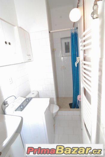 Pronájem Byt 1+1, Nový Jičín, Hřbitovní – fotografie 3