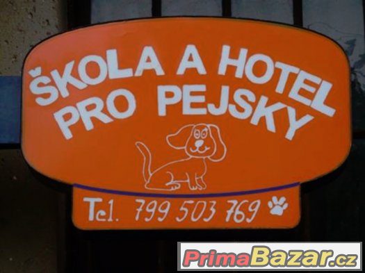 DEN PRO PEJSKY – fotografie 1
