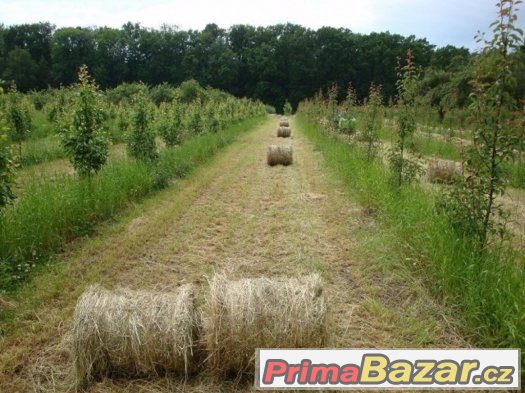 Balíkovač, lis na malé kulaté balíky CRB870, svinovací lis – fotografie 2