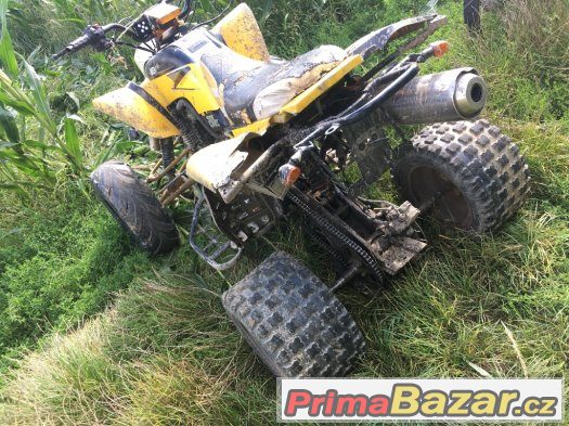 Bashan 200cc – fotografie 2