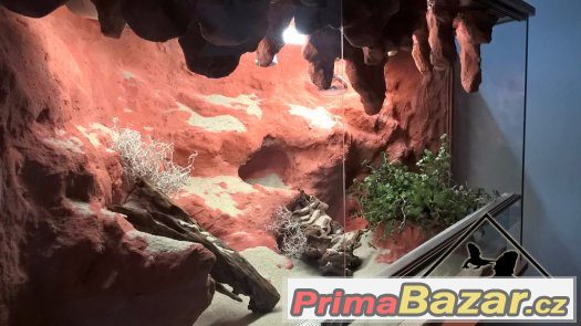 TERÁRIA DO BYTU / KANCELÁŘE - Realizace originálních terárií – fotografie 1