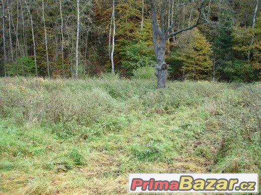 Pozemek - Pavlovice u Jestřebí – fotografie 2