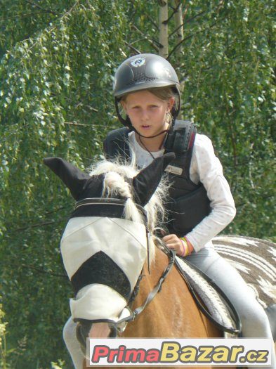 Starší klisna haflinga - charakter k dětem – fotografie 2