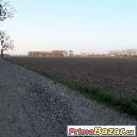Prodám pole v Břestě. – fotografie 2