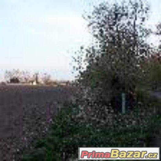 Prodám pole v Břestě. – fotografie 3