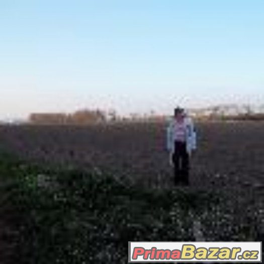 Prodám pole v Břestě. – fotografie 4