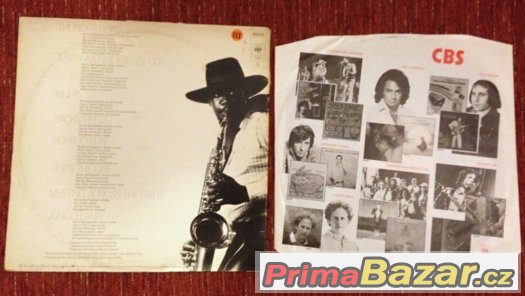 vinylové LP Bruce Springsteen - Born to run (1975 – fotografie 2