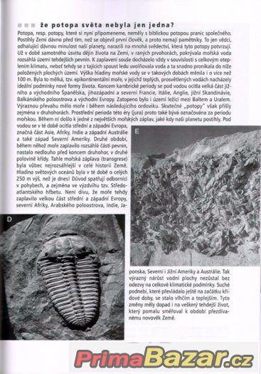 Prodám odbornou knihu – fotografie 2