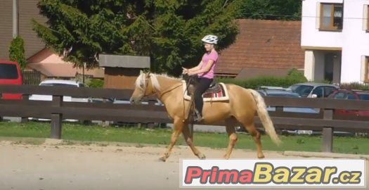 Hledám ježdění – fotografie 1