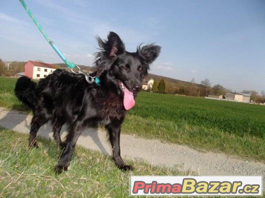 ❁❁  Aktivní Erny ❁❁ – fotografie 3