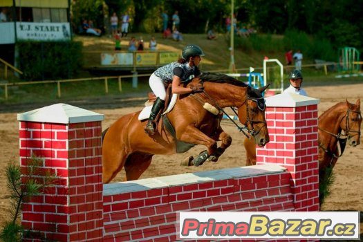 Valach do sportu – fotografie 1