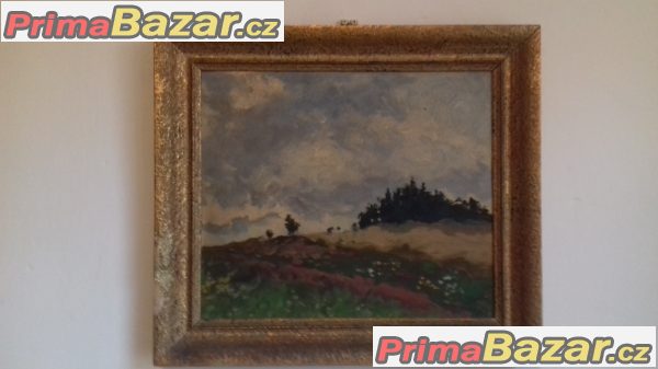 Mám k prodeji obrazy – fotografie 3