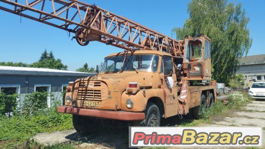 Jeřáb tatra – fotografie 3