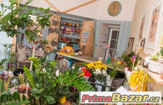 Nabízím obchod s květinami v elegantním francouzském stylu – fotografie 1