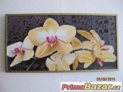 Prodám moderní obraz - žluté orchideje - levně – fotografie 1