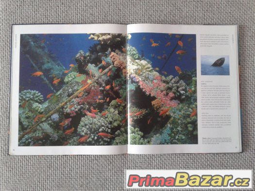 Nejznámější potápěčská místa na světě – fotografie 5