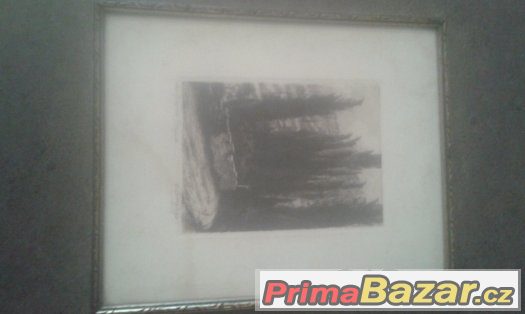 obraz 30x25x1,8 – fotografie 1