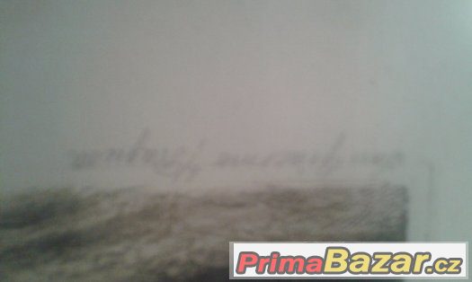 obraz 30x25x1,8 – fotografie 3
