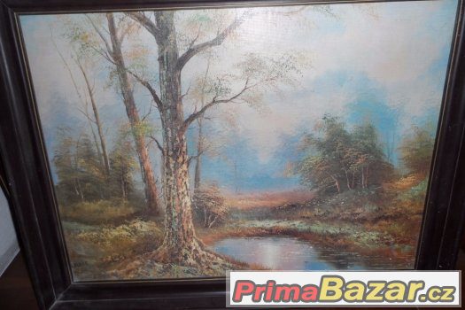 obraz 55x72 x 4 – fotografie 1