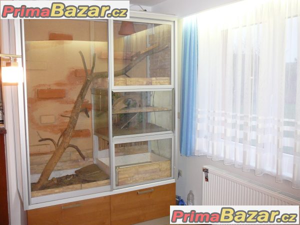 Terarium proleguany a pod. – fotografie 1