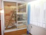 Terarium proleguany a pod.