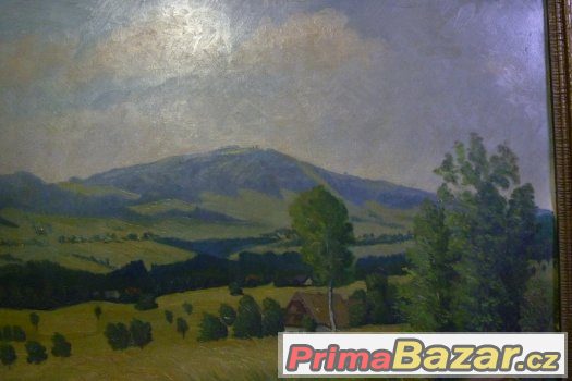 Obraz Zvičina Dvůr Králové – fotografie 2