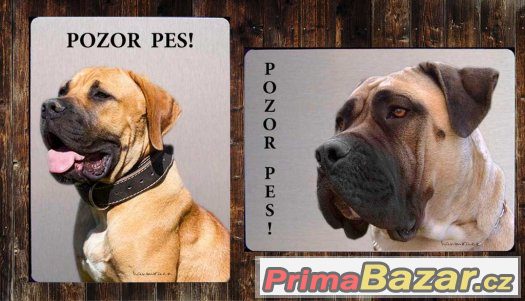 Luxusní hliníková tabulka POZOR PES BOERBOEL, Búrský buldok – fotografie 1