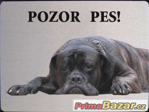 Luxusní hliníková tabulka POZOR PES Bulmastif Bullmastiff – fotografie 2