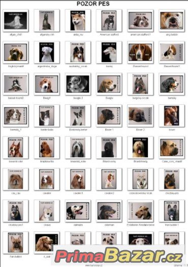 Luxusní výstražná hliníková tabulka POZOR PES – fotografie 2