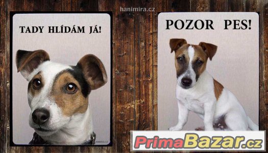 Luxusní hliníková tabulka POZOR PES JACK RUSSEL TERIÉR – fotografie 1