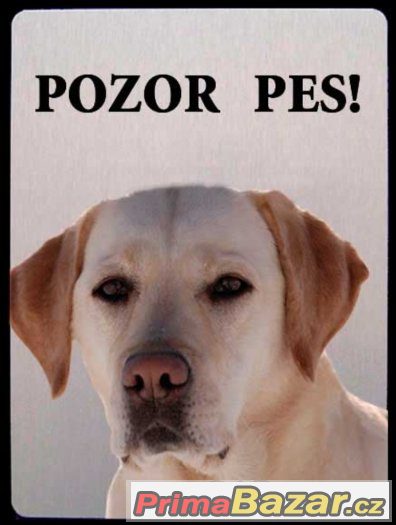 Luxusní hliníková cedulka POZOR PES Labrador retrívr – fotografie 3
