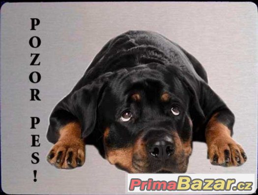 Luxusní hliníková tabulka POZOR PES Rotvajler Rottweiler – fotografie 3