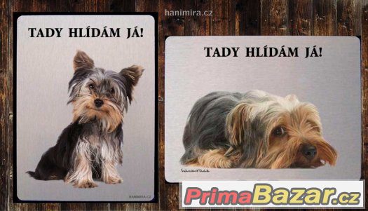 Luxusní hliníková tabulka POZOR PES JORKŠÍRSKÝ TERIÉR – fotografie 1