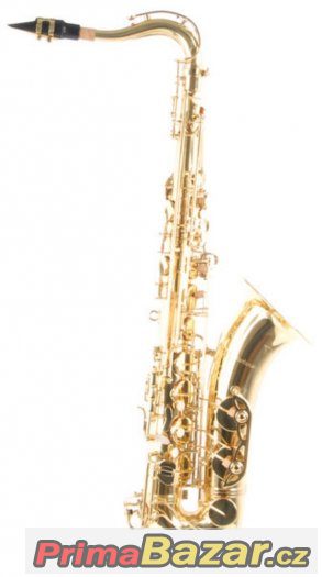 Prodám Tenor saxofón C.Giant - celý set – fotografie 4