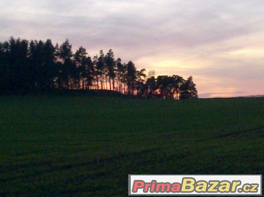Kvalitní ustájení s halou – fotografie 4