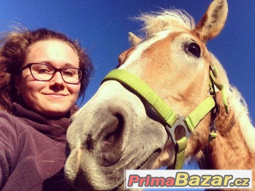 Ohlávka zelená – fotografie 1