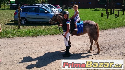 Hledáme nové členy pro náš PONY tým v Ostravě – fotografie 2
